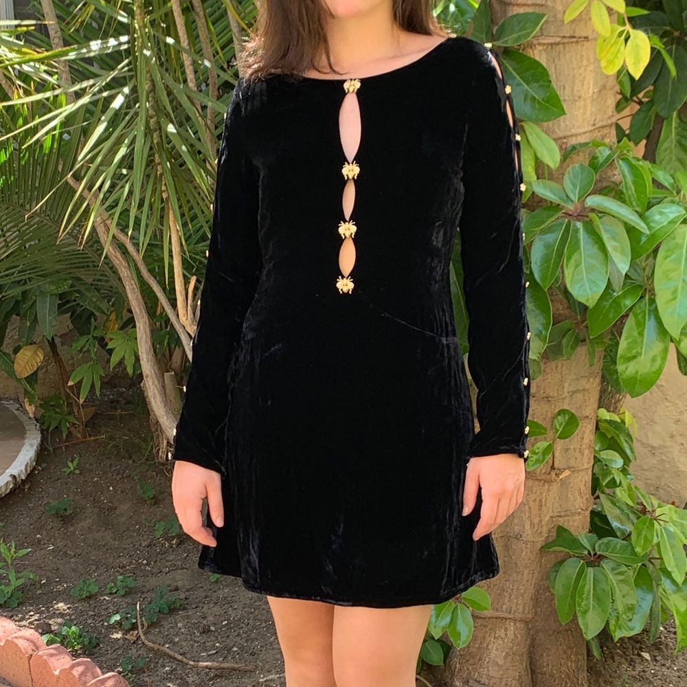 For Love & Lemons Velvet Button Sleeve Dress